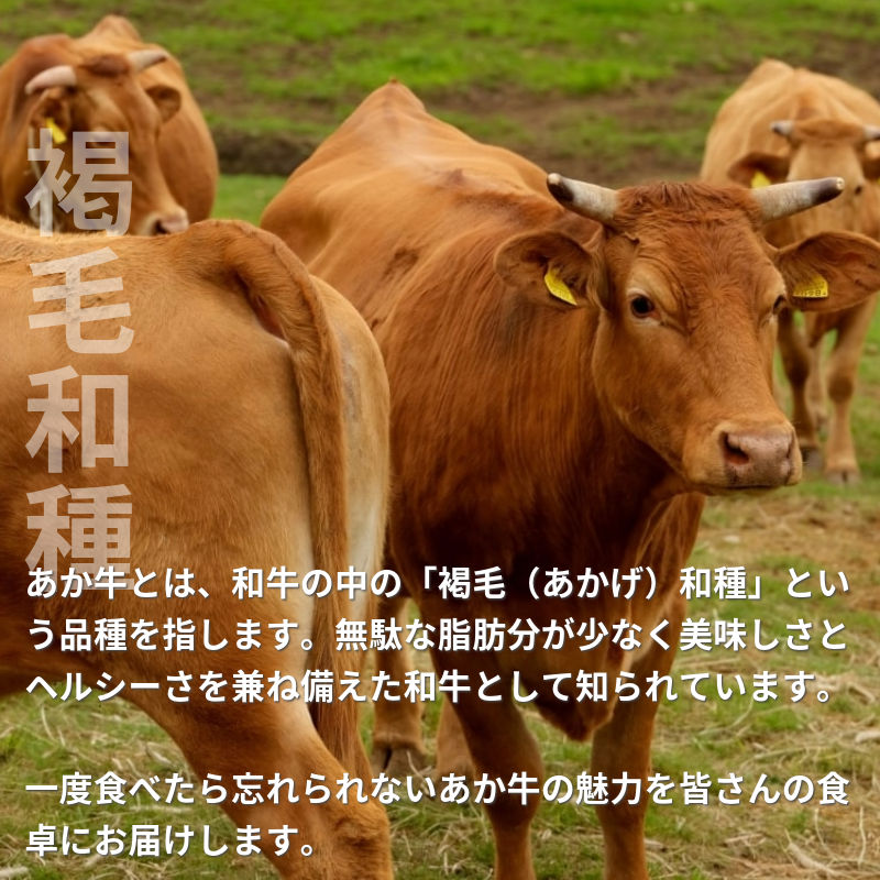 【あか牛(熊本和牛)】ハンバーグセット くまモンパッケージ 1個120g3個セット/6個セット
