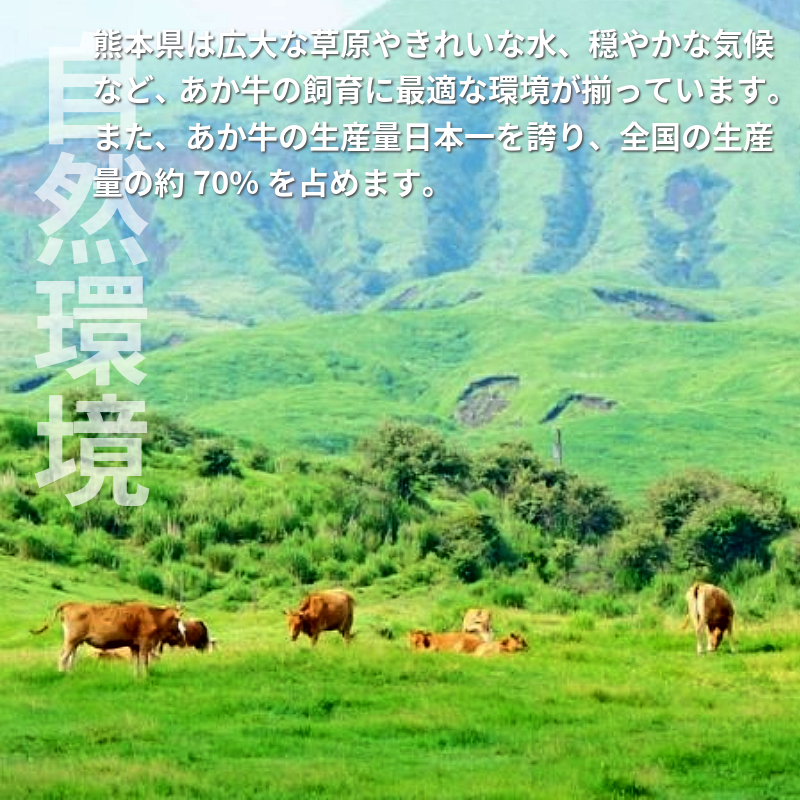 【あか牛(熊本和牛)】ハンバーグセット くまモンパッケージ 1個120g3個セット/6個セット