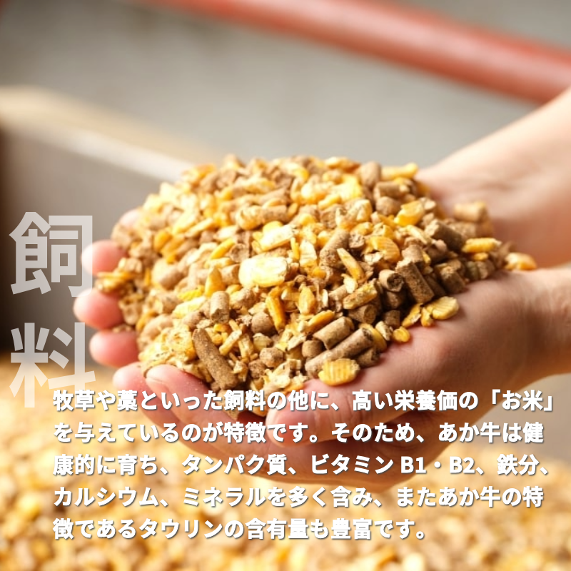 【あか牛(熊本和牛)】ハンバーグセット くまモンパッケージ 1個120g3個セット/6個セット