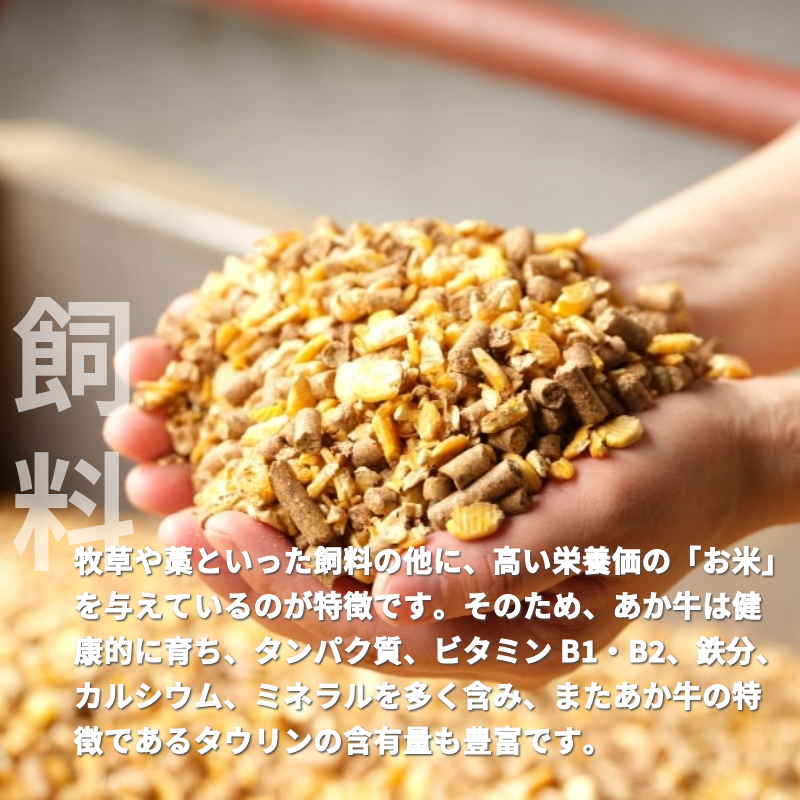 【あか牛（熊本和牛）】熊本和牛　高級部位食べ比べセット（ロース200ｇ　ヒレ120ｇ）各1枚/2枚/3枚