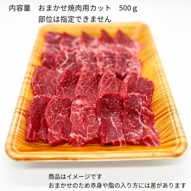 【ご自宅用にもギフトにも　冷蔵発送】店主おまかせ　5種盛り焼肉セット　500g（2～3人前）